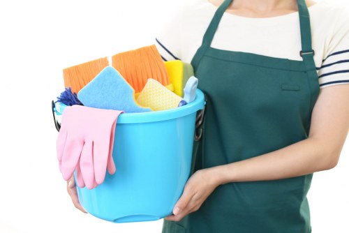 Professional carpet cleaning in a Childs Hill home interior