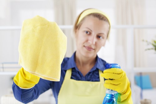 Deep carpet cleaning treatment in a Childs Hill home