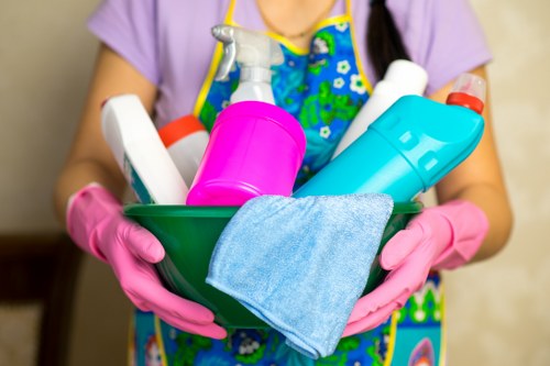 Insured carpet cleaning professional working carefully in a home