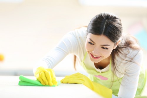 Deep carpet cleaning equipment used on a living room carpet