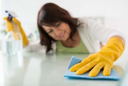 Supplier audit checklist for a carpet cleaning business in Childs Hill