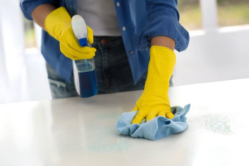 Deep upholstery cleaning equipment used on a sofa